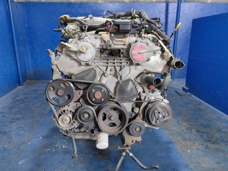Двигатель Ниссан Эльгранд в Кстово 437558